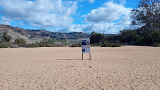 GC-Playa de Tauro 2026-54.jpg
